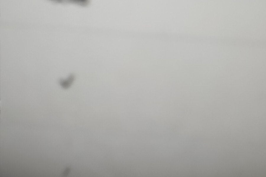 给您给哦