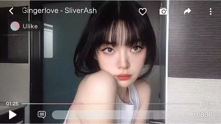 我也是有fafa的人啦