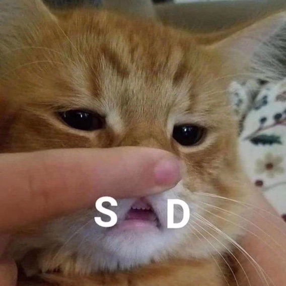 求助