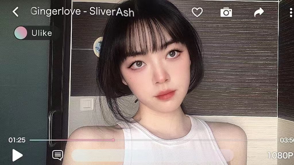 我也是有fafa的人啦