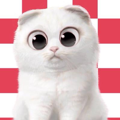 🌙孙大猫🐱