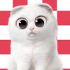 🌙孙大猫🐱