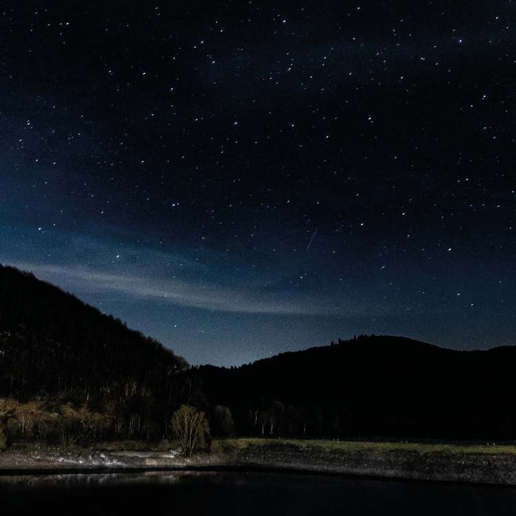 Photograph: Starry landscape