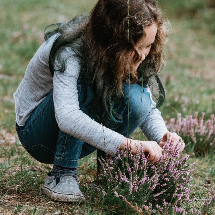 Photograph: Girl picking wild flowers