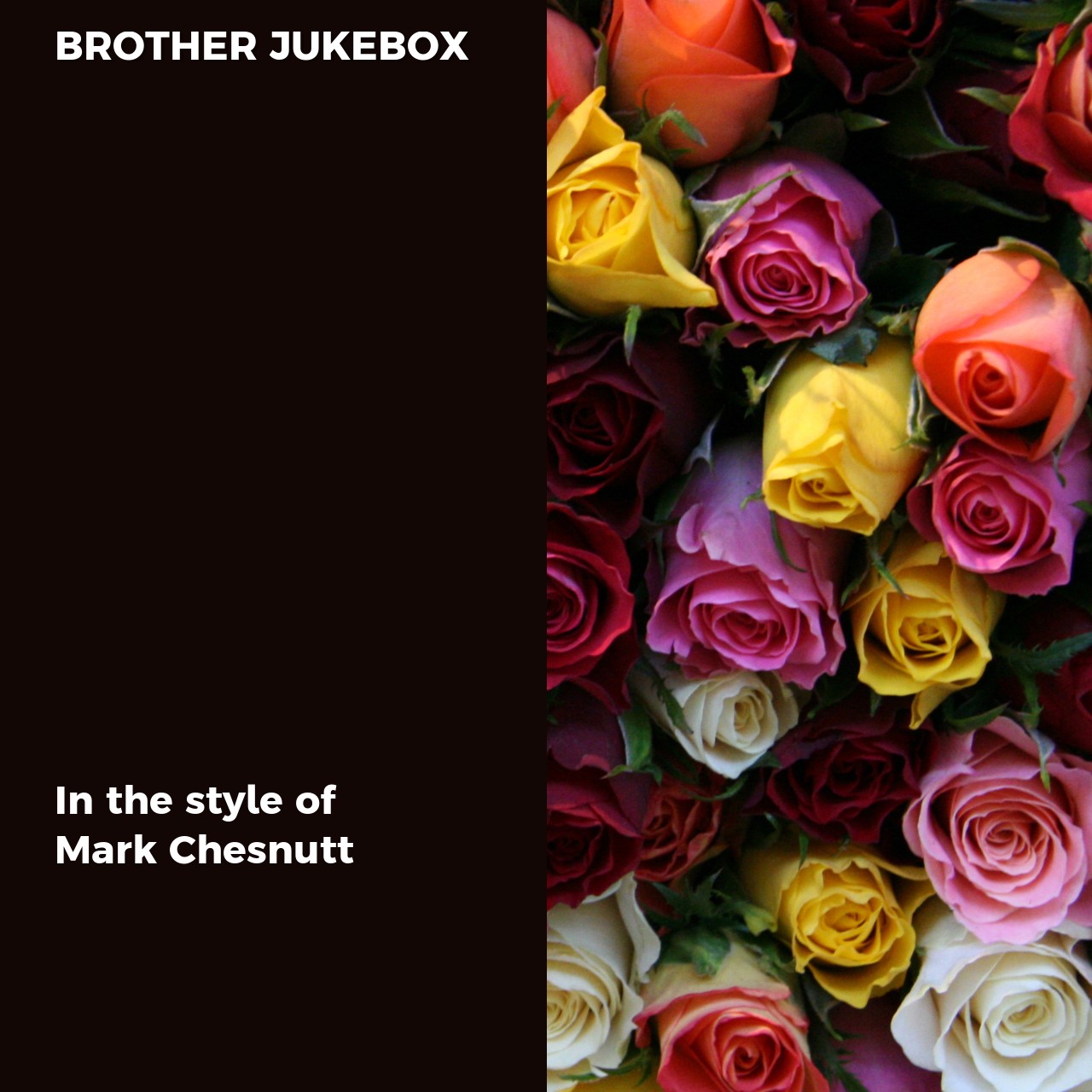 Mark Chesnutt Brother Jukebox Karaoke Singa