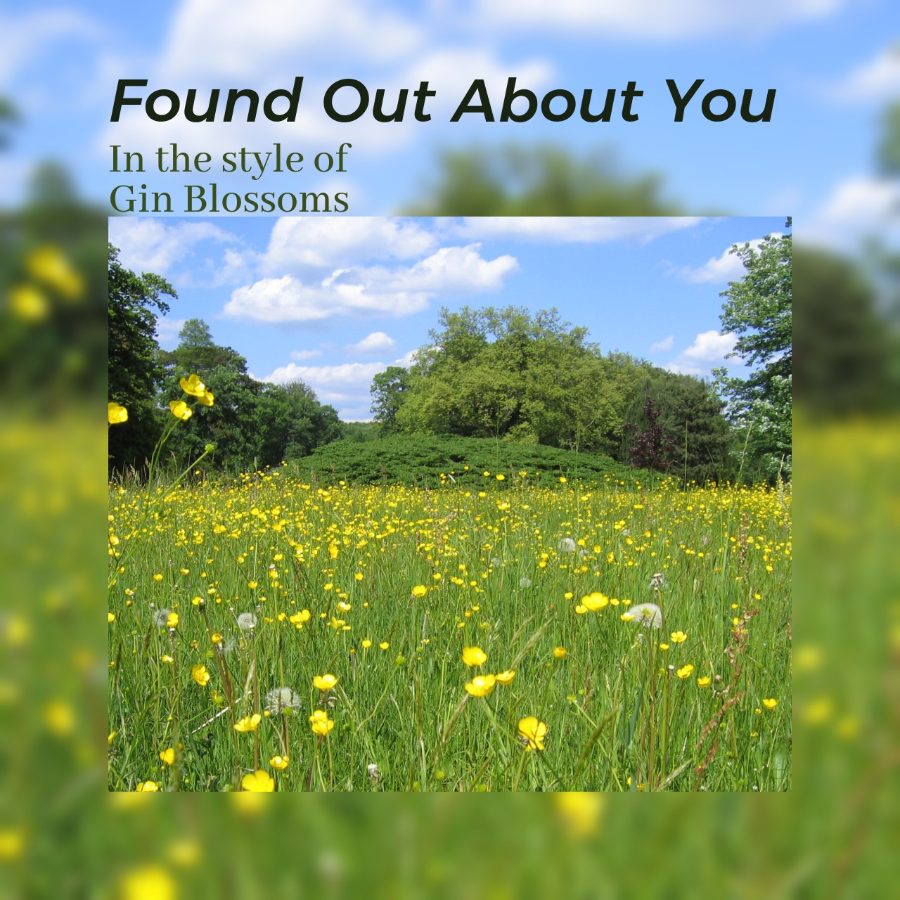 Gin Blossoms Found Out About You Karaoke Singa