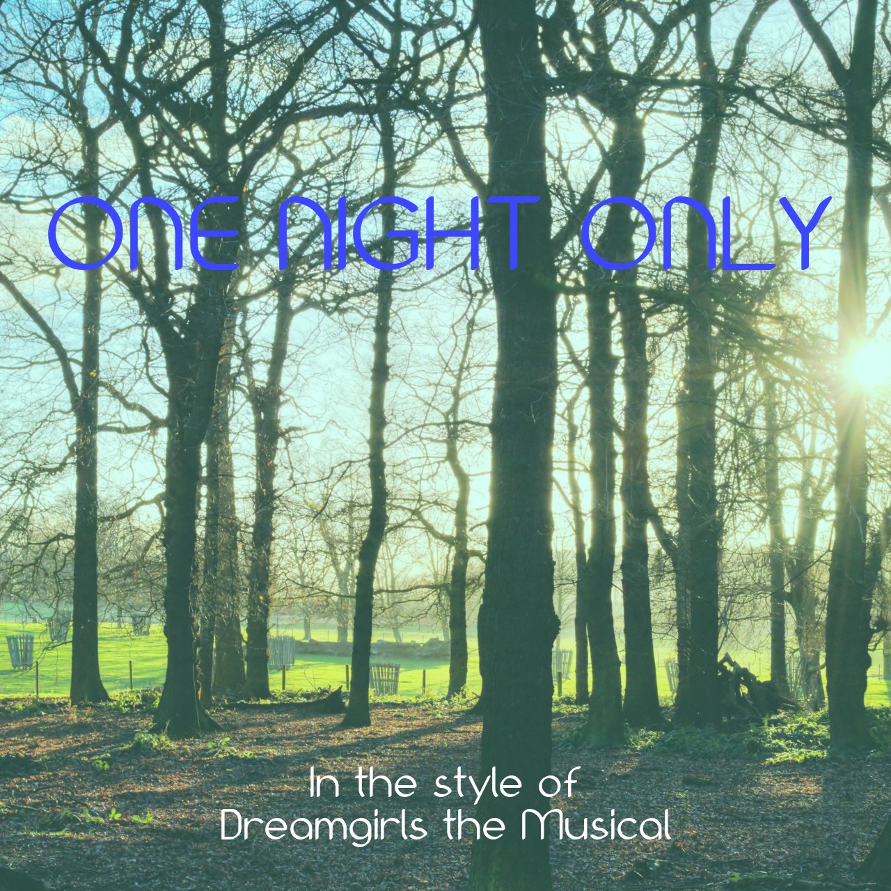 Dreamgirls the Musical One Night Only Karaoke Singa