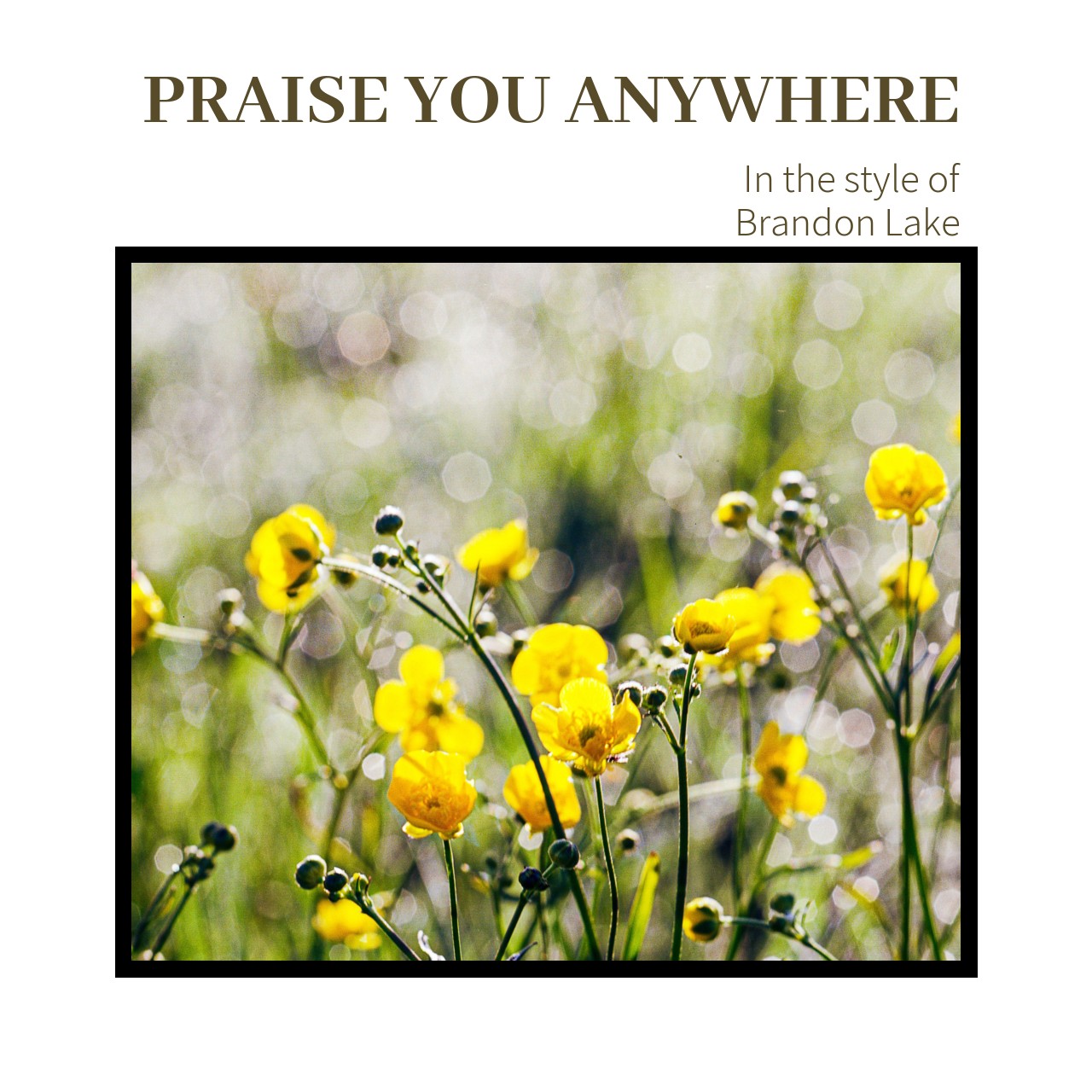 Brandon Lake Praise You Anywhere Karaoke Singa