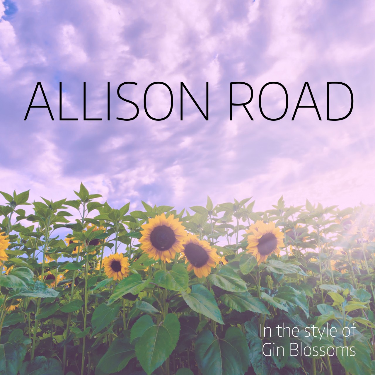 Gin Blossoms Karaoke Singa