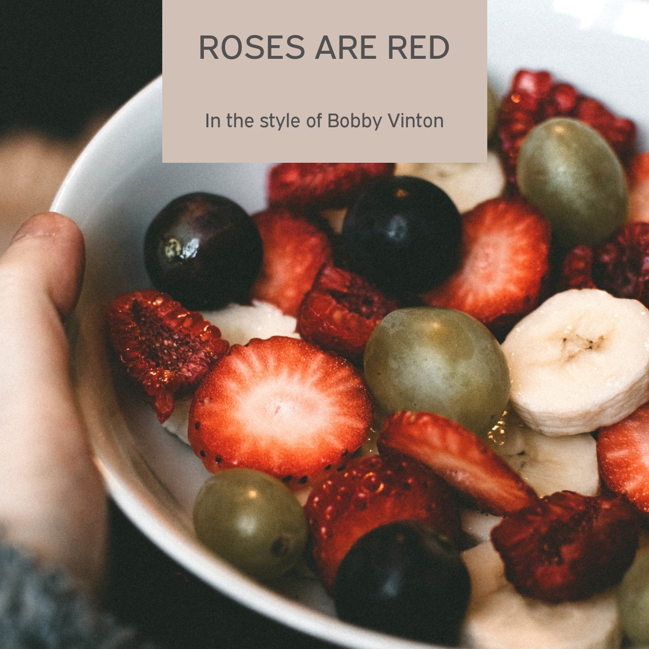 Bobby Vinton Roses Are Red Karaoke Singa