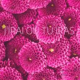 J'irai où tu iras – Jean-Jacques Goldman (album cover, karaoke on Singa)