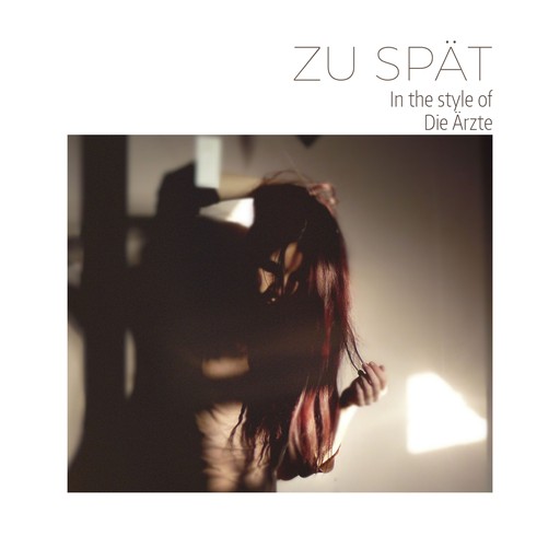 Zu spät – Die Ärzte (Albumcover, Karaoke auf Singa)