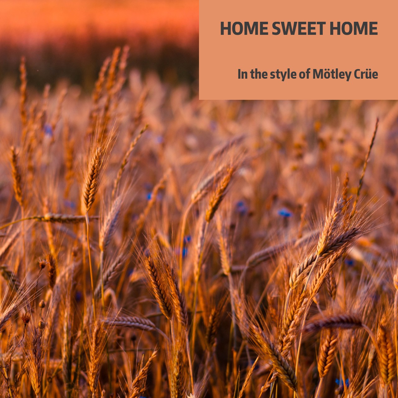 Mötley Crüe Home Sweet Home Karaoke Singa