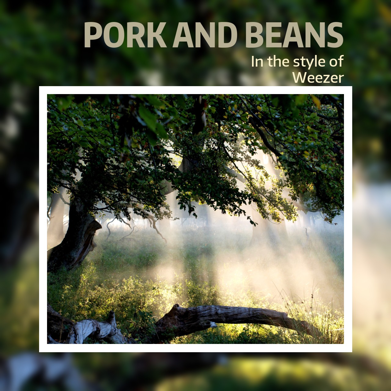 Weezer Pork And Beans Karaoke Singa