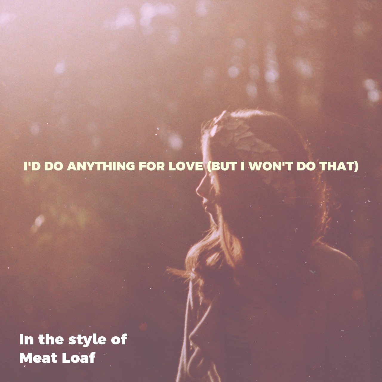 Meat Loaf I'd Do Anything For Love (but I Won't Do That) Karaoke Singa