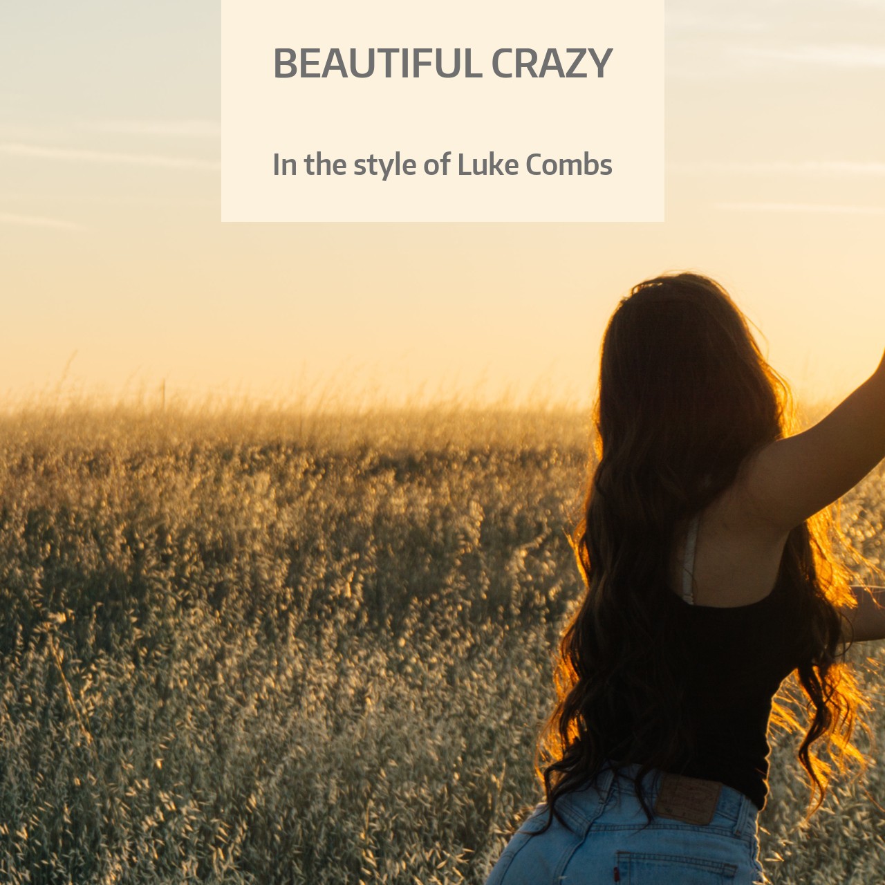 Luke Combs Karaoke Singa