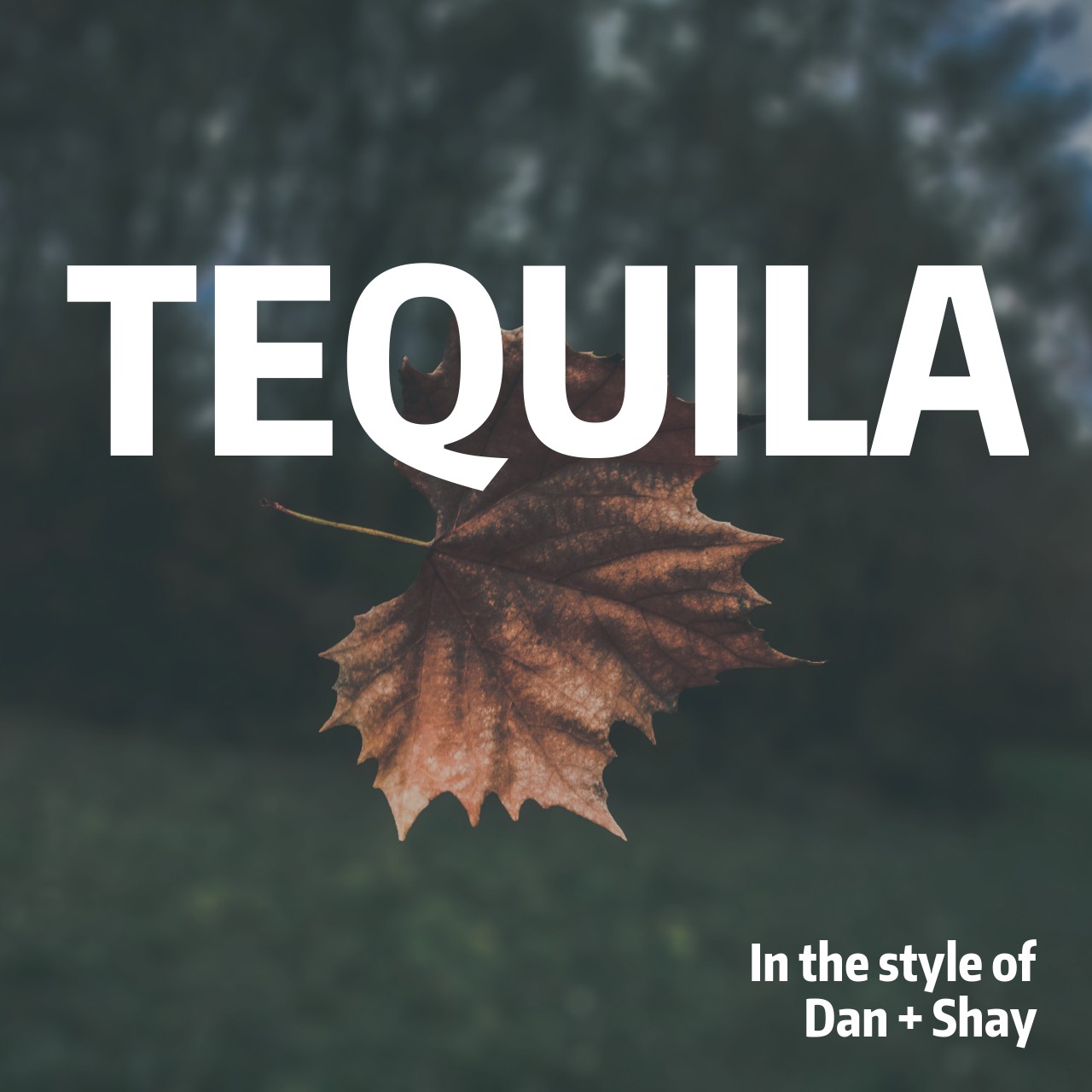 Dan + Shay Tequila Karaoke Singa