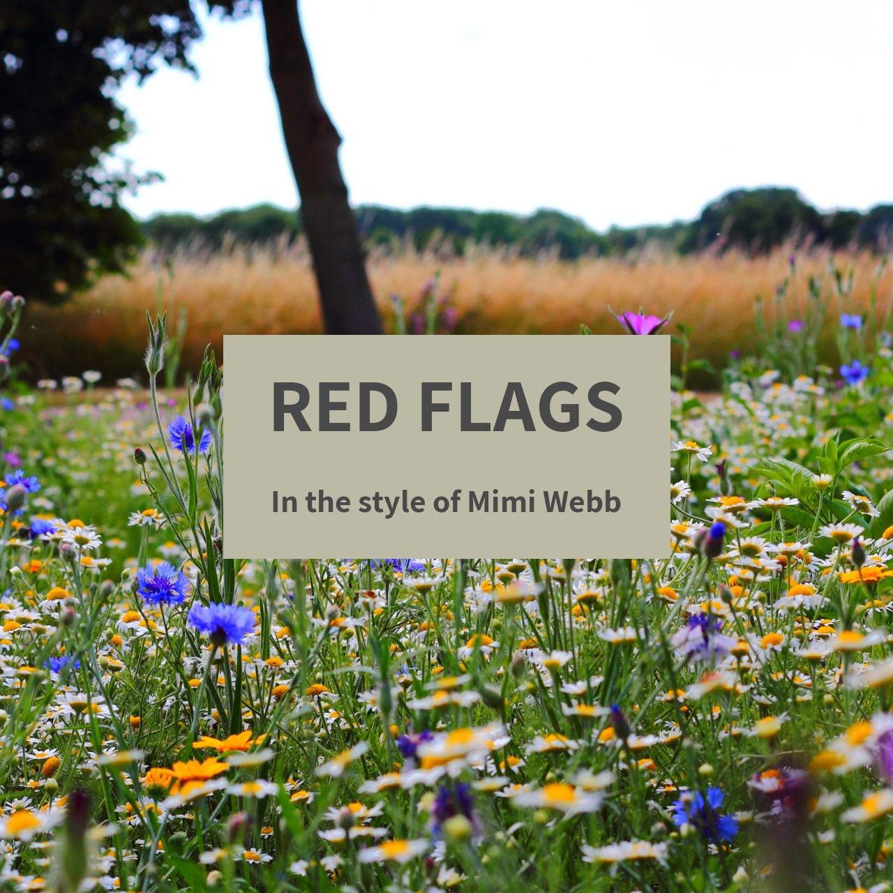 Mimi b Red Flags Karaoke Singa