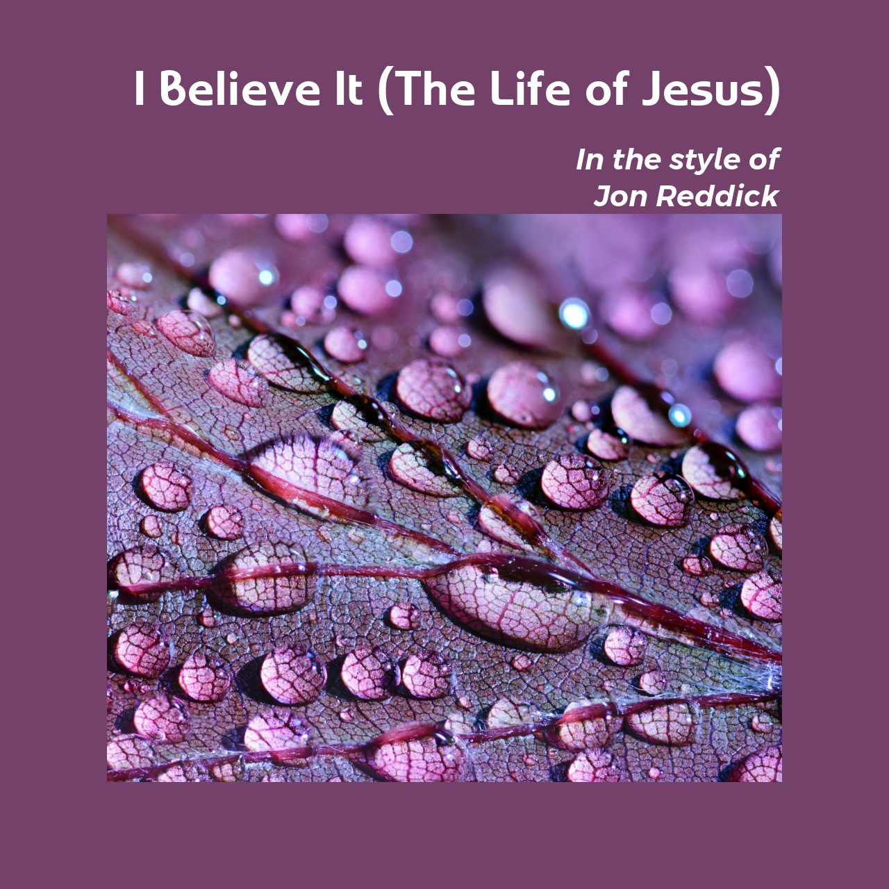 Jon Reddick I Believe It (The Life of Jesus) Karaoke Singa