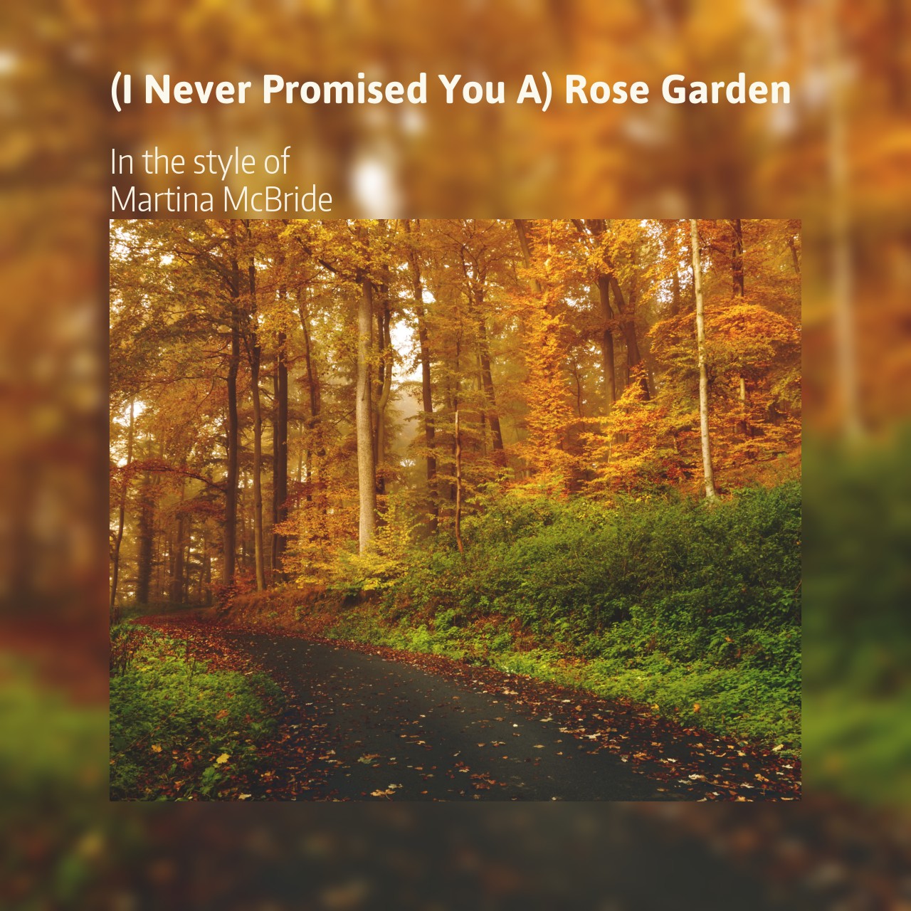 Martina McBride (I Never Promised You A) Rose Garden Karaoke Singa