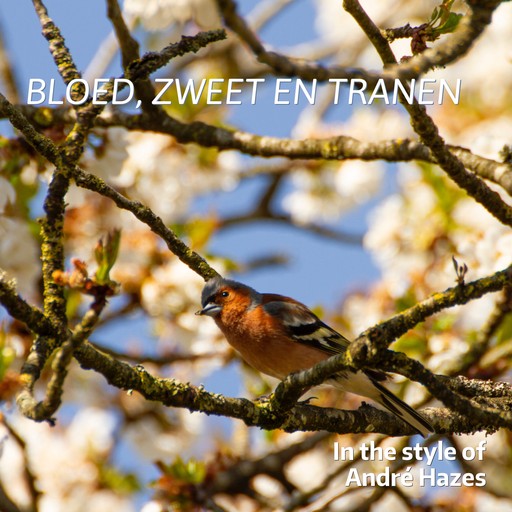 Bloed, zweet en tranen – André Hazes (album cover, karaoke on Singa)