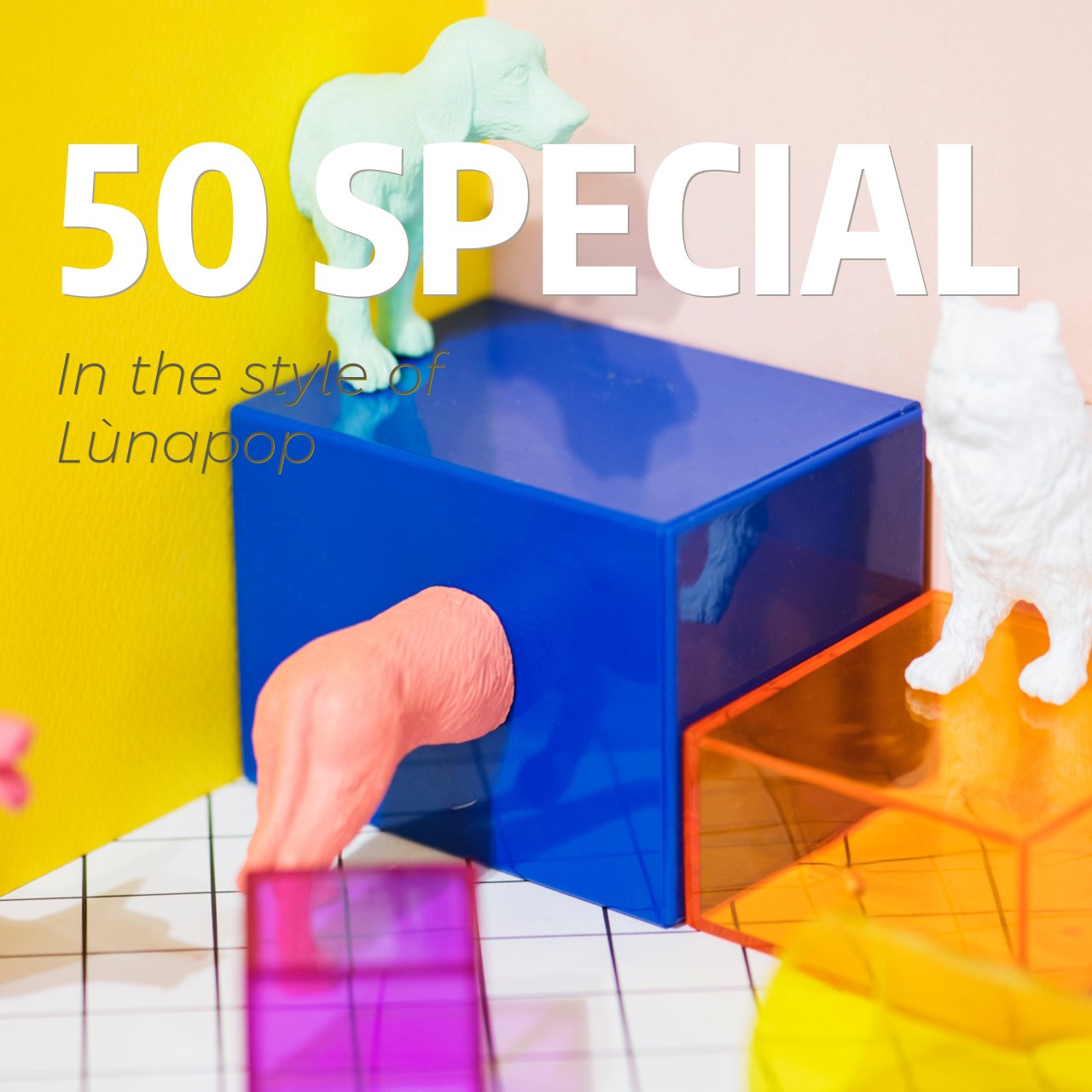 50 Special karaoke cover