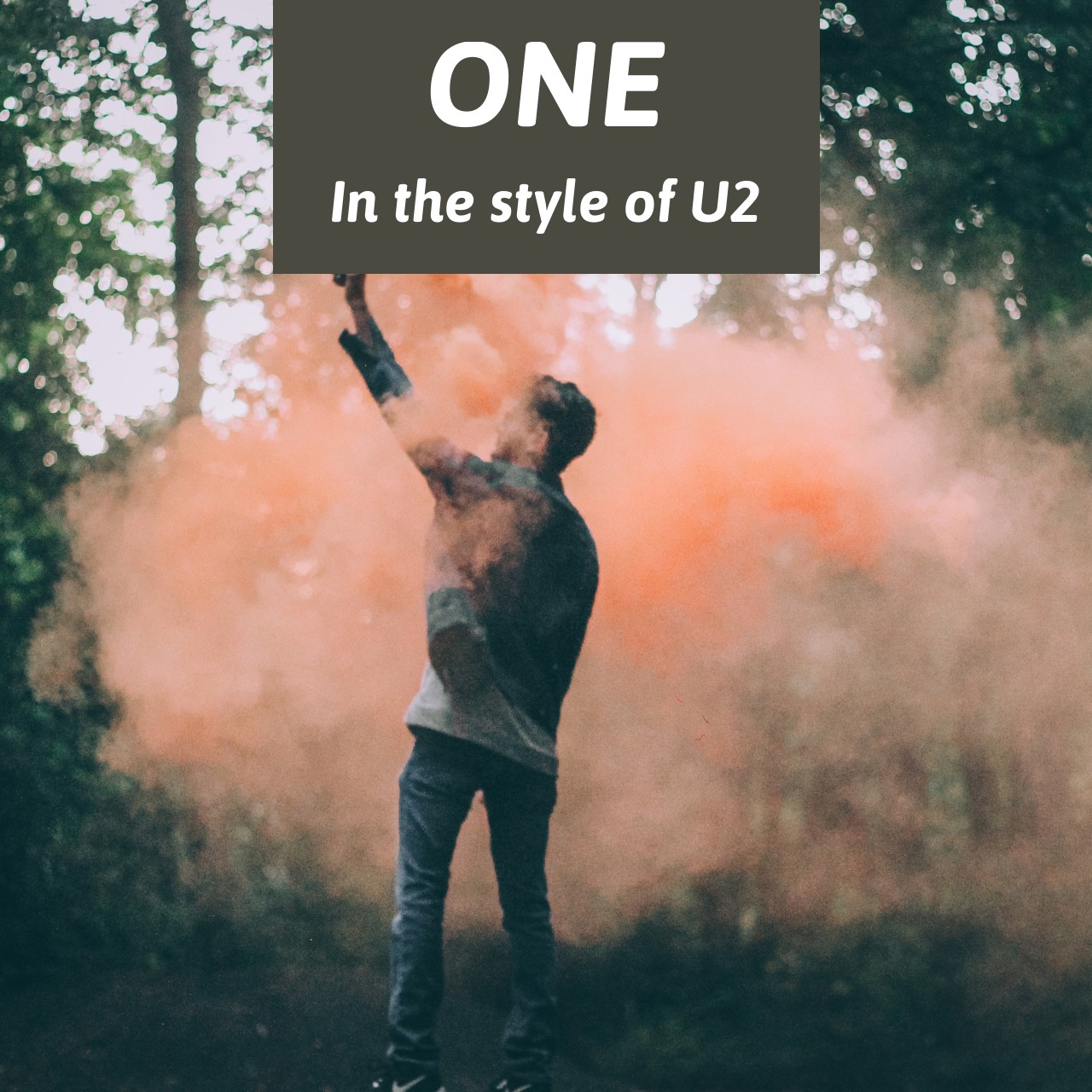 U2 One Karaoke Singa