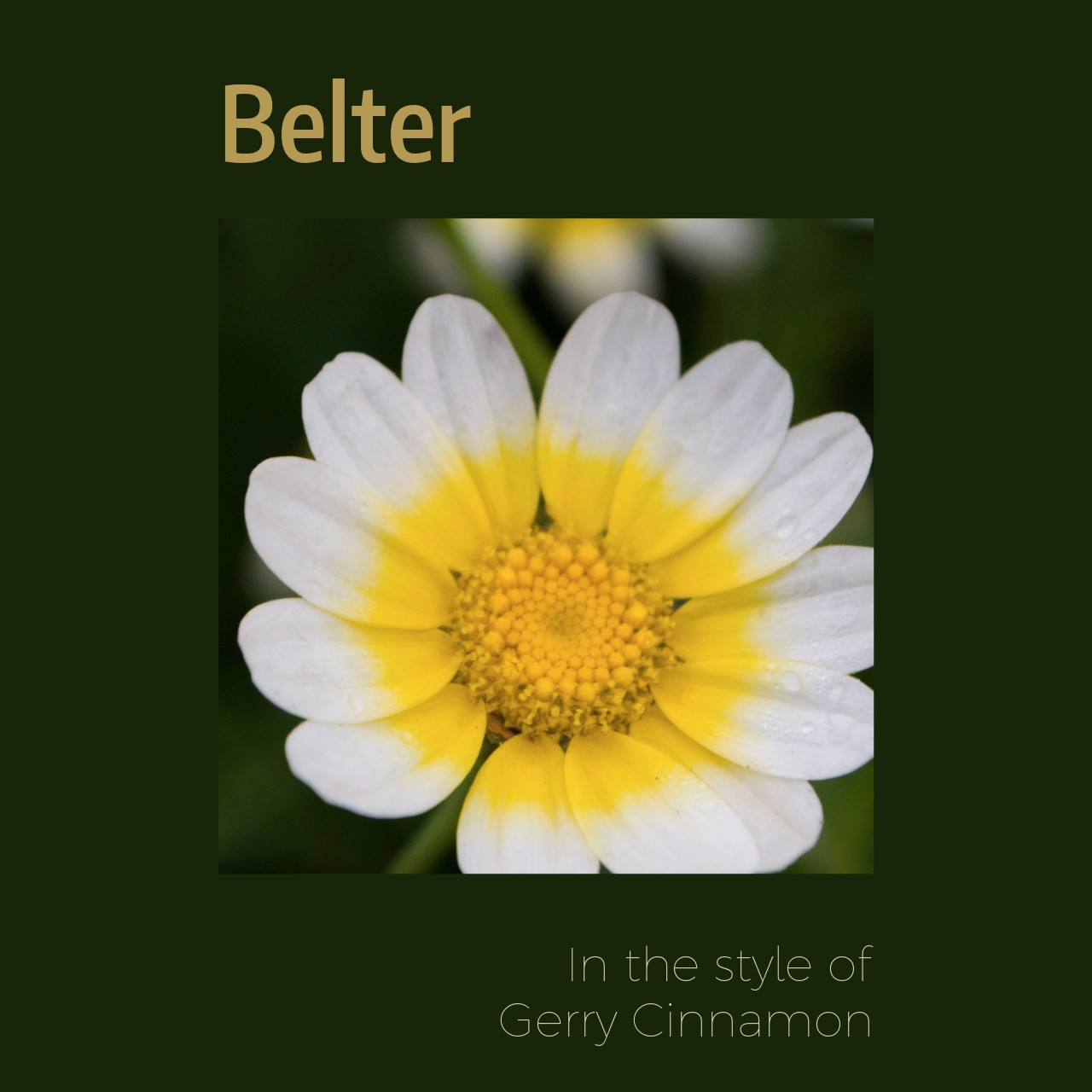 Gerry Cinnamon Karaoke Singa