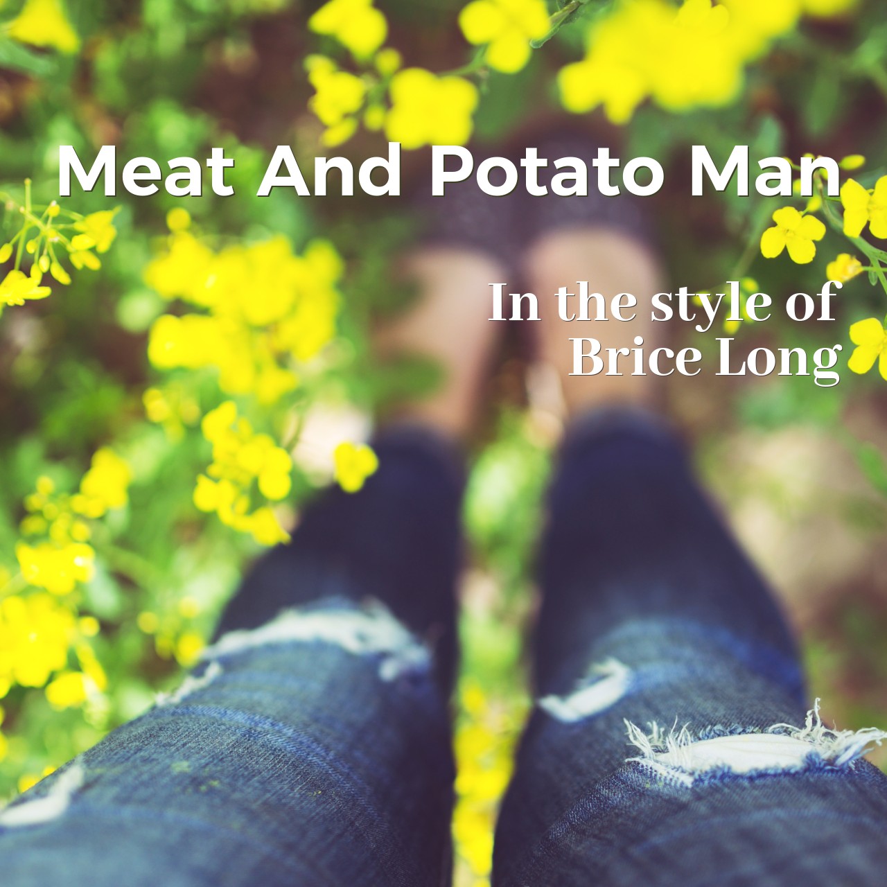 Brice Long Meat And Potato Man Karaoke Singa