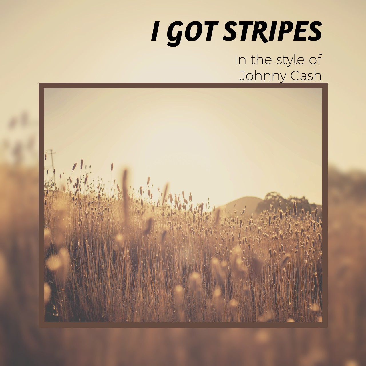 Johnny Cash I Got Stripes Karaoke Singa