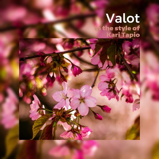 Valot – Kari Tapio