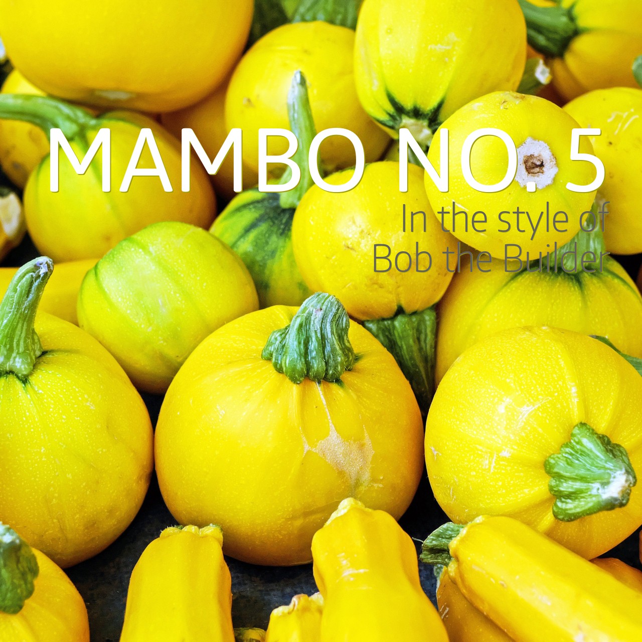 Bob The Builder Mambo No 5 Karaoke Singa