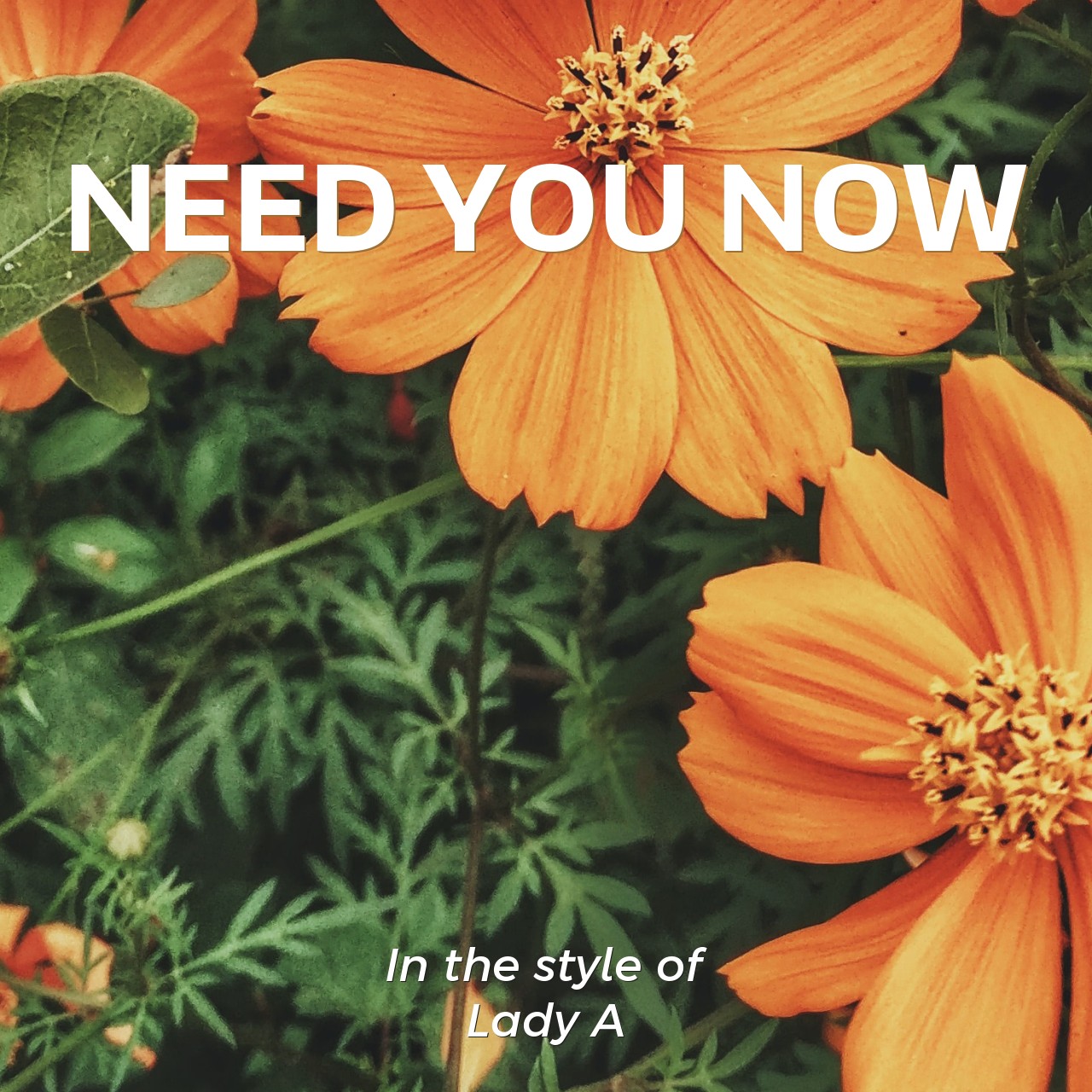 Lady A Need You Now Karaoke Singa Lady A Need You Now Karaoke Singa