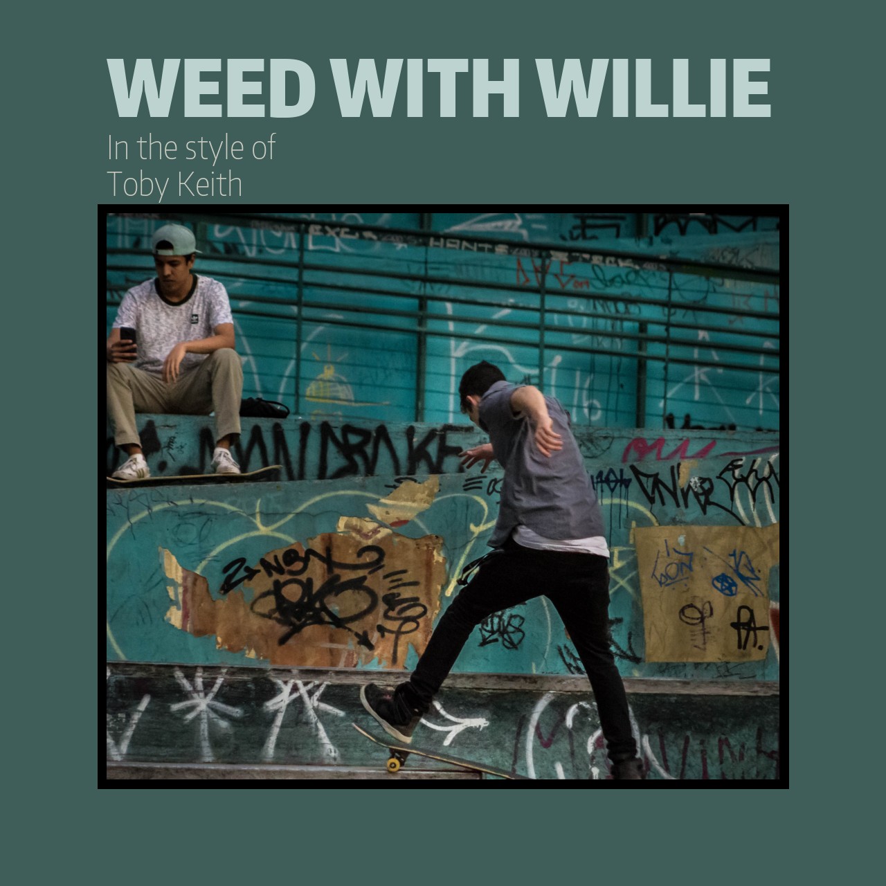 Toby Keith - Weed with Willie Karaoke | Singa