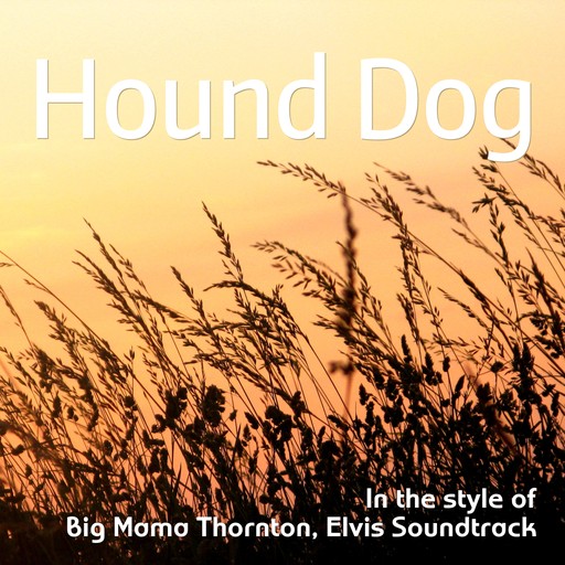 Hound Dog karaoke cover