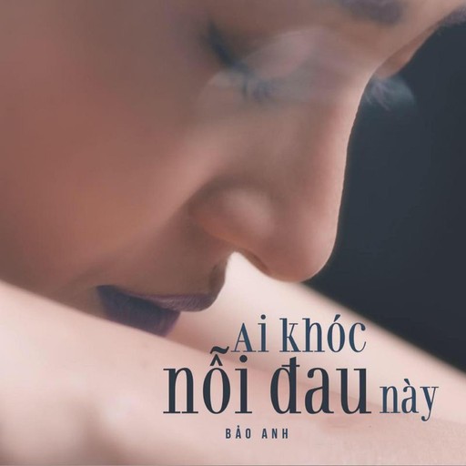 #15 Ai Khóc Nỗi Đau Này – Bảo Anh (album cover, karaoke on Singa)