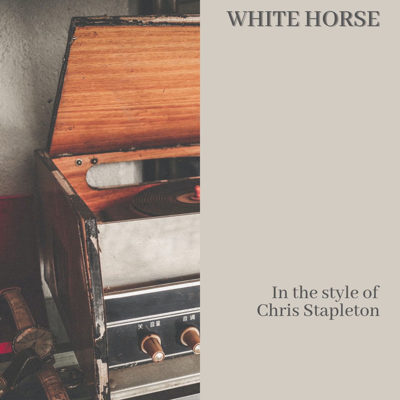 Chris Stapleton White Horse Karaoke Singa