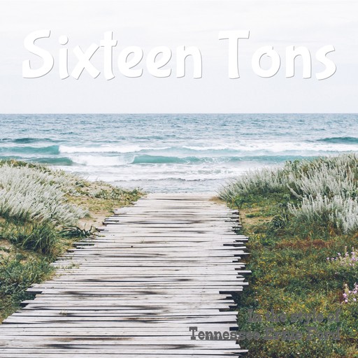 Sixteen Tons karaoke cover