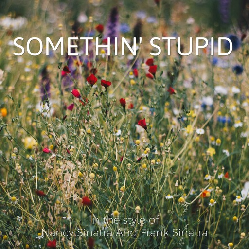 Summer Wine karaoke cover
