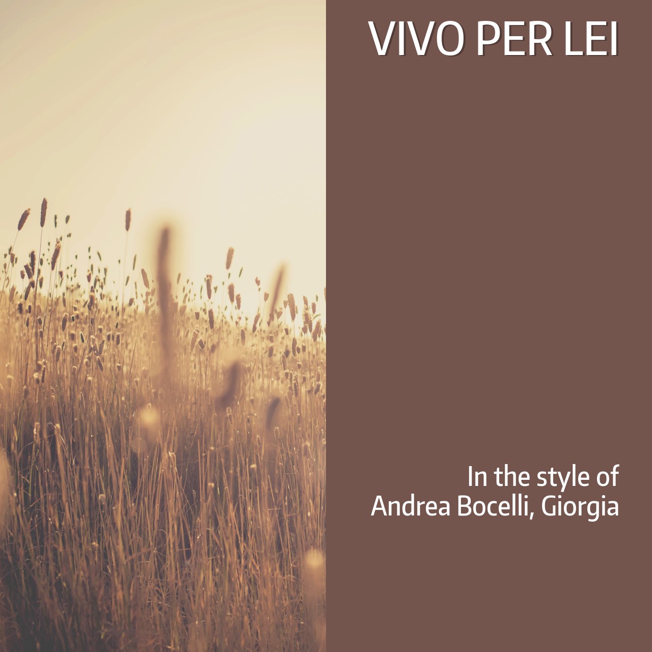 Vivo Per Lei karaoke cover
