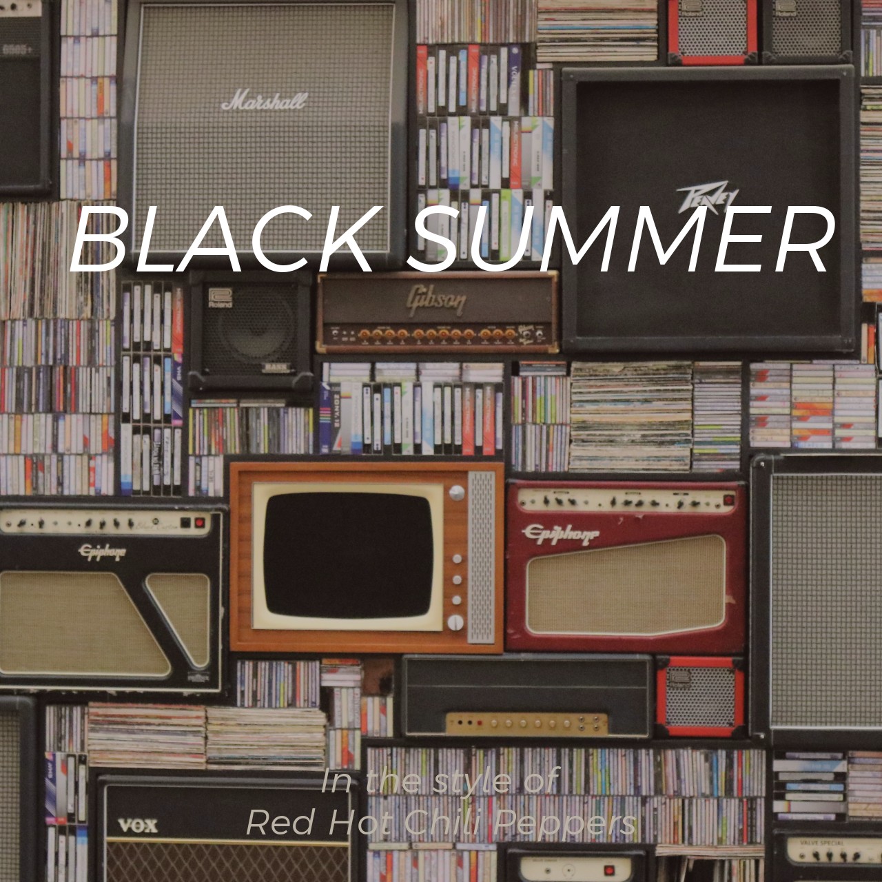 Red Hot Chili Peppers Black Summer Karaoke Singa