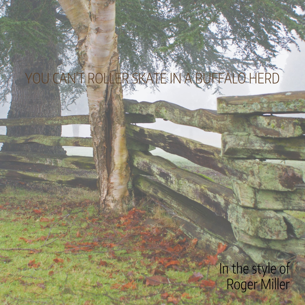 Roger Miller You Can't Roller Skate In a Buffalo Herd Karaoke Singa