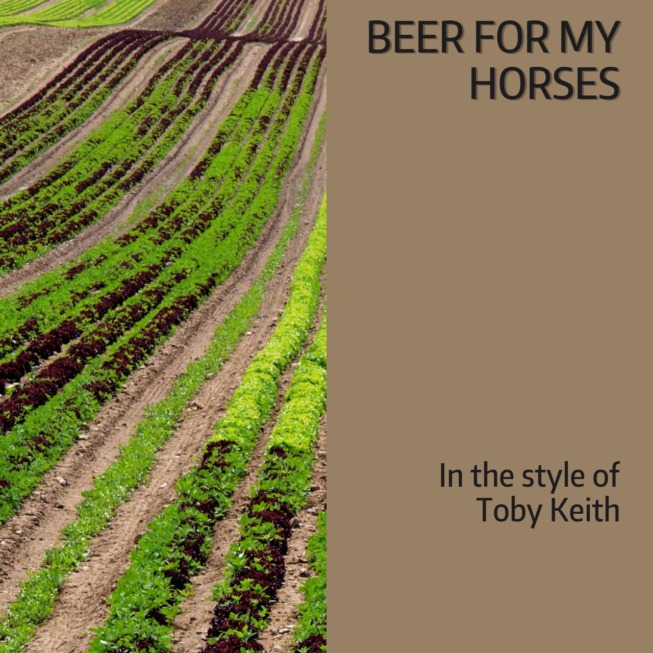 Toby Keith Beer for My Horses Karaoke Singa