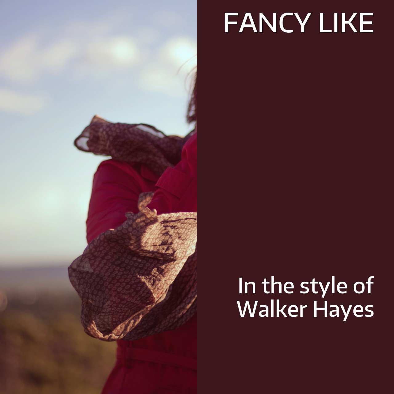 Walker Hayes, Kesha Fancy Like Karaoke Singa