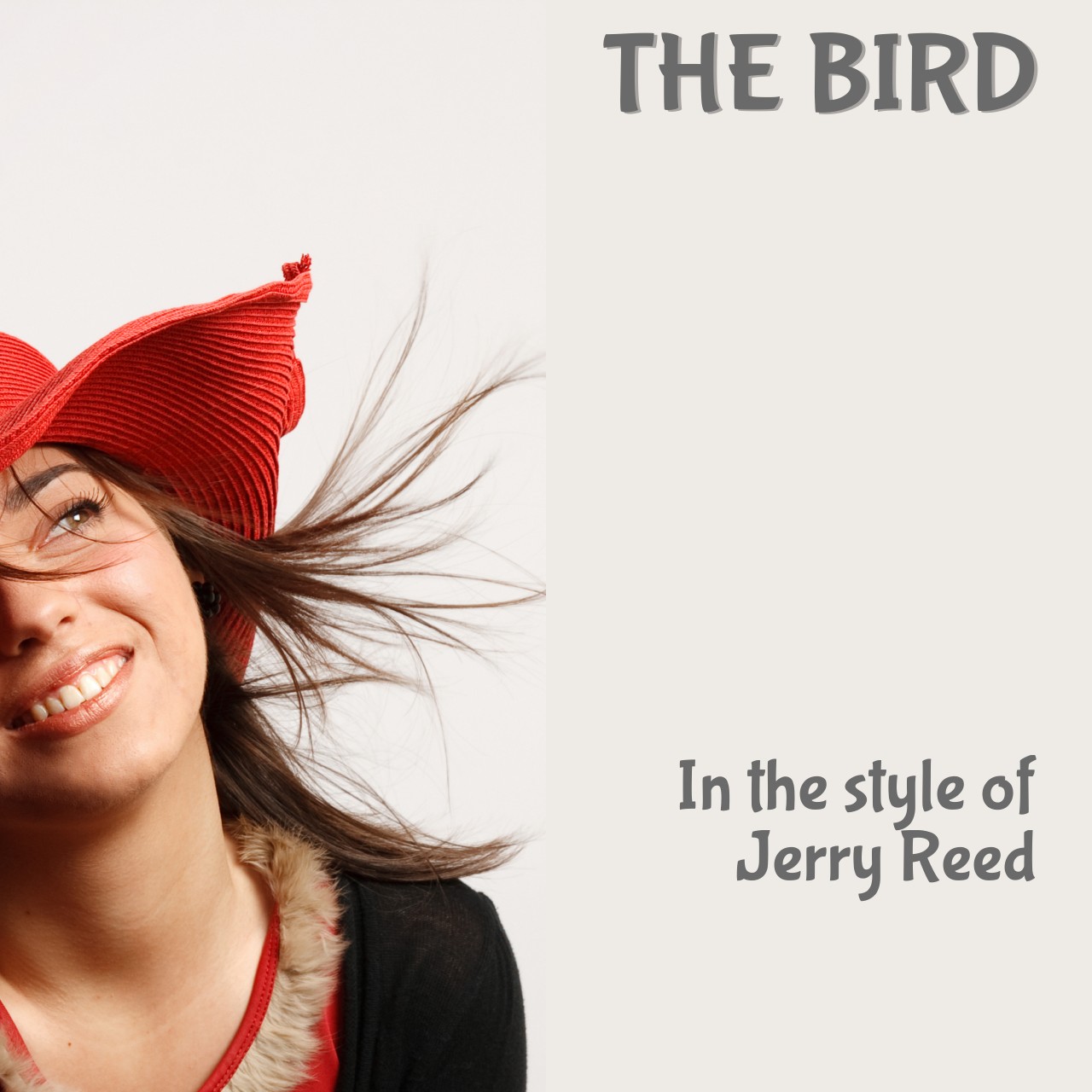 Jerry Reed The Bird Karaoke Singa