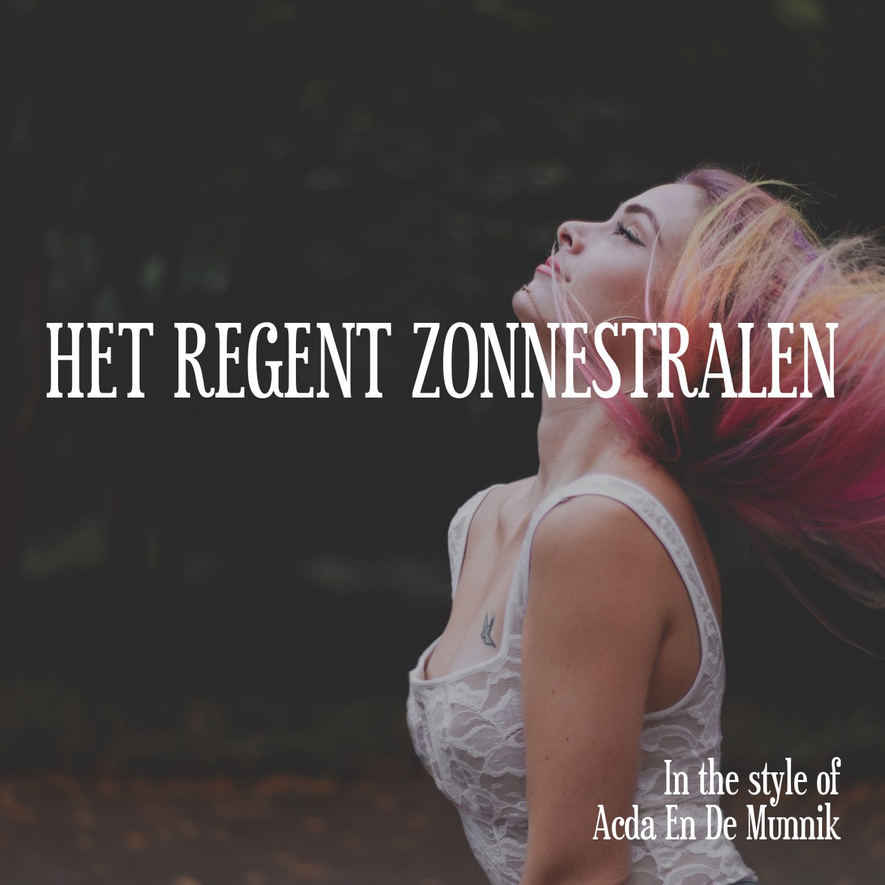 Acda En De Munnik Het Regent Zonnestralen Karaoke Singa