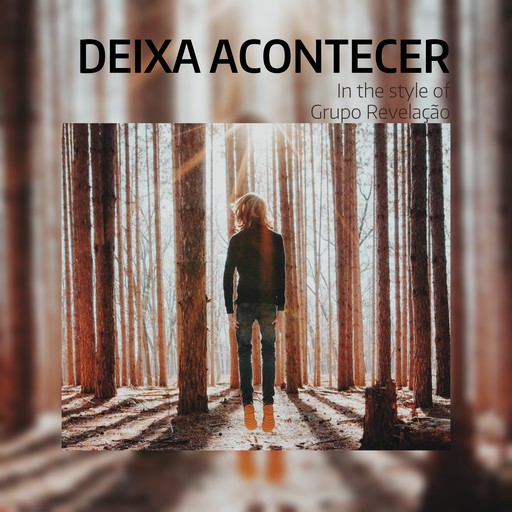#25 Deixa Acontecer – Grupo Revelação (album cover, karaoke on Singa)
