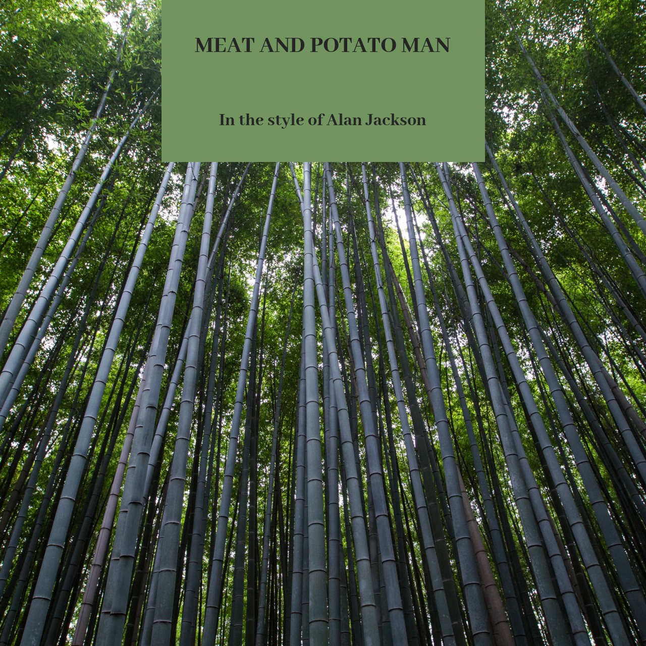 Alan Jackson Meat And Potato Man Karaoke Singa