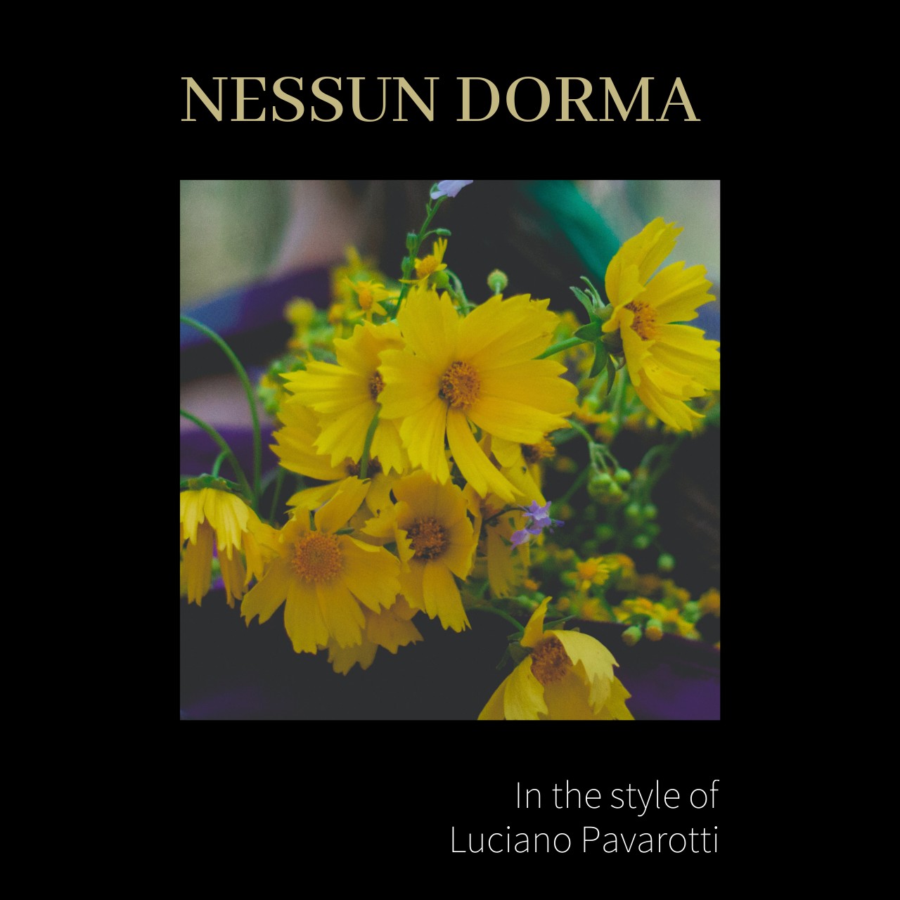 Nessun Dorma karaoke cover