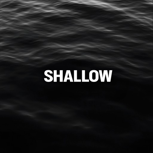 #4 Shallow – Lady Gaga (album cover, karaoke on Singa)